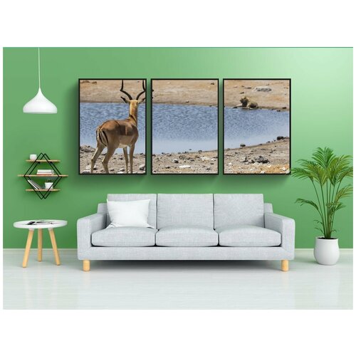 фото Набор модулных постеров для интерьера "спрингбок, животное, лев" 60x90 см. в тубусе, без рамки lotsprints