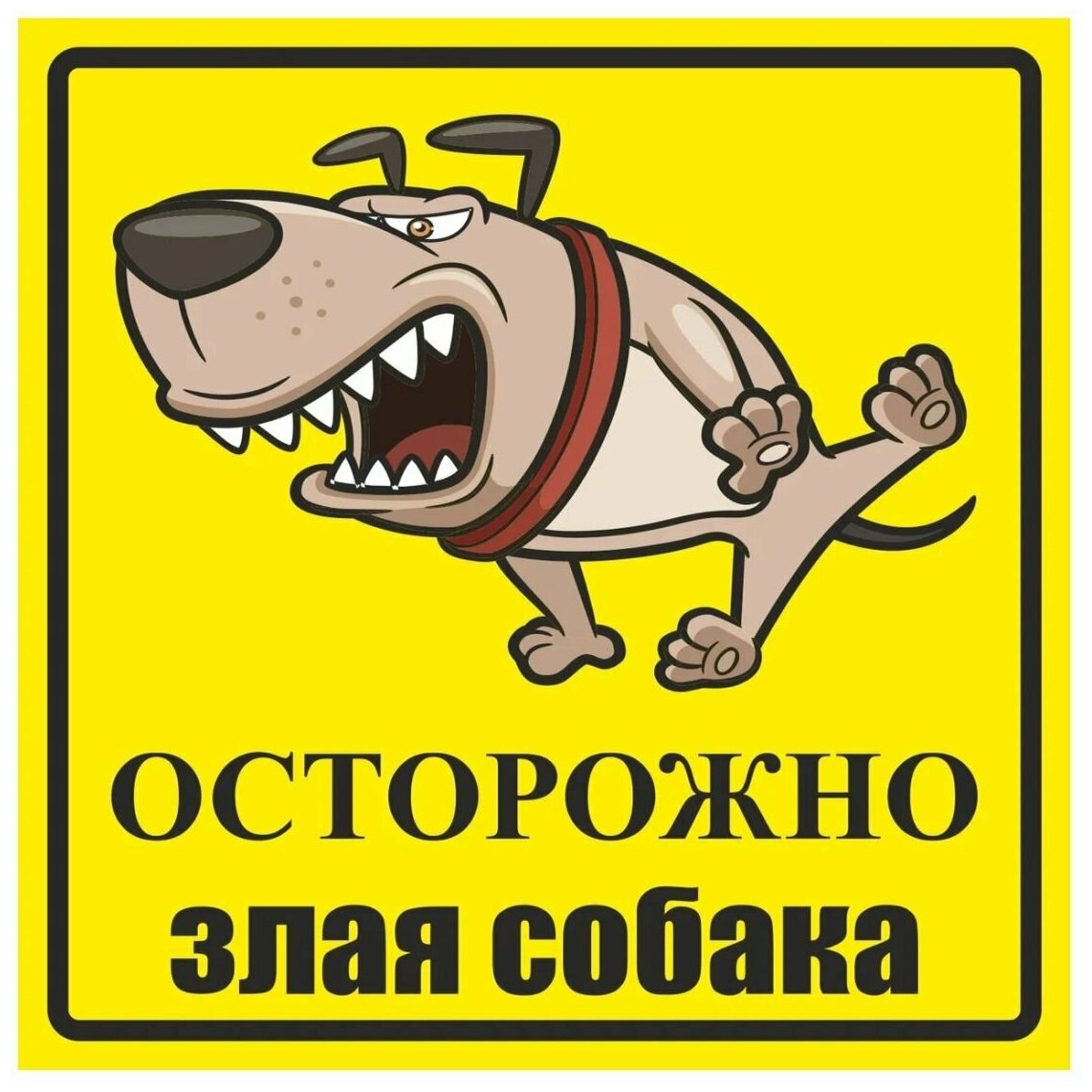 Информационная табличка "Злая собака" 200x200 мм из ПВХ 3-5 мм (не выгорает на солнце) (Ф)