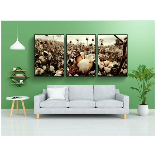 фото Набор модулных постеров для интерьера "хлопок, поле, tn" 60x90 см. в тубусе, без рамки lotsprints