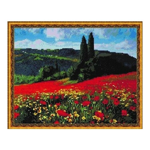 Алмазная мозаика Маковый ковер 40x50 см.