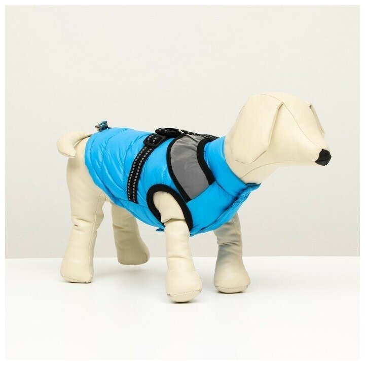 Куртка для собак со светоотражающей шлейкой, размер 8 (ДС 23, ОГ 30, ОШ 22), голубая - фотография № 1