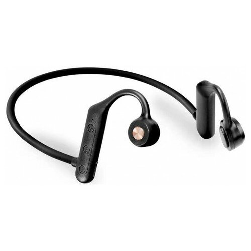 BandRate Smart BRSTWSK79BB 175500₽