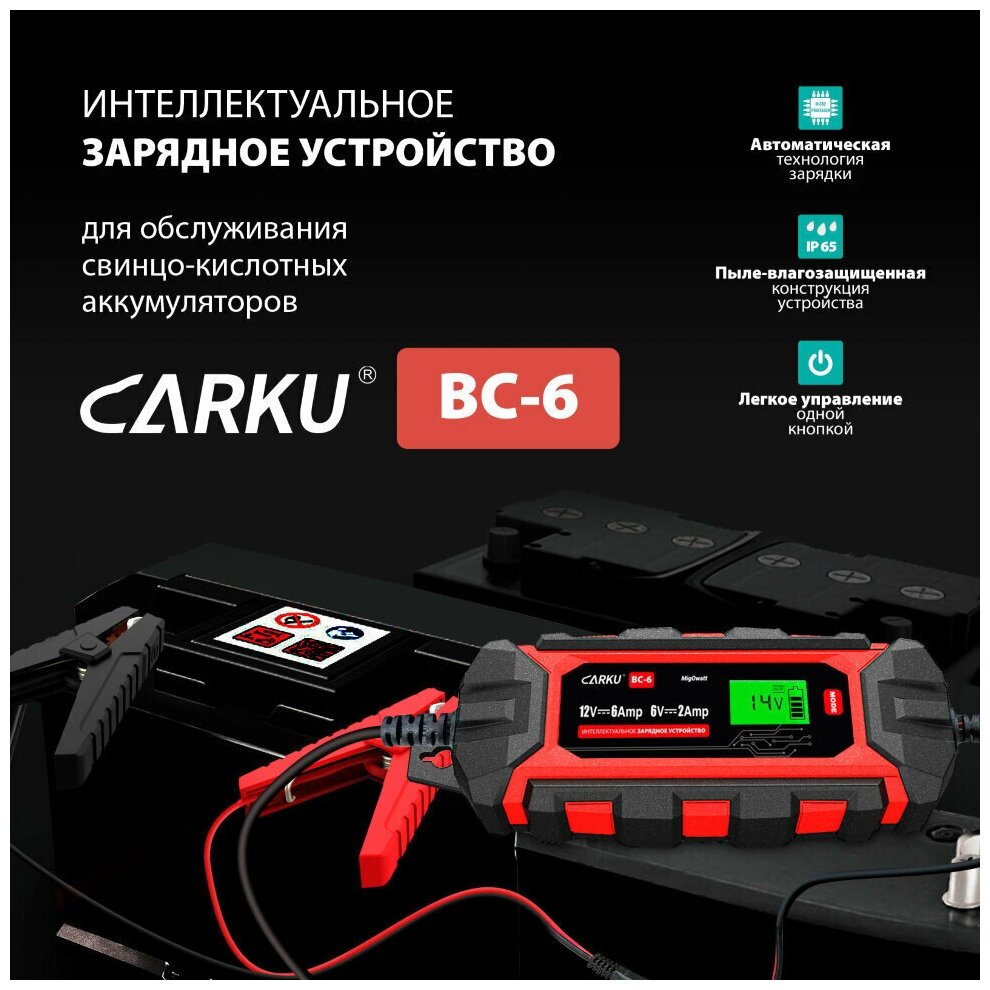 Интеллектуальное зарядное устройство CARKU BC-6