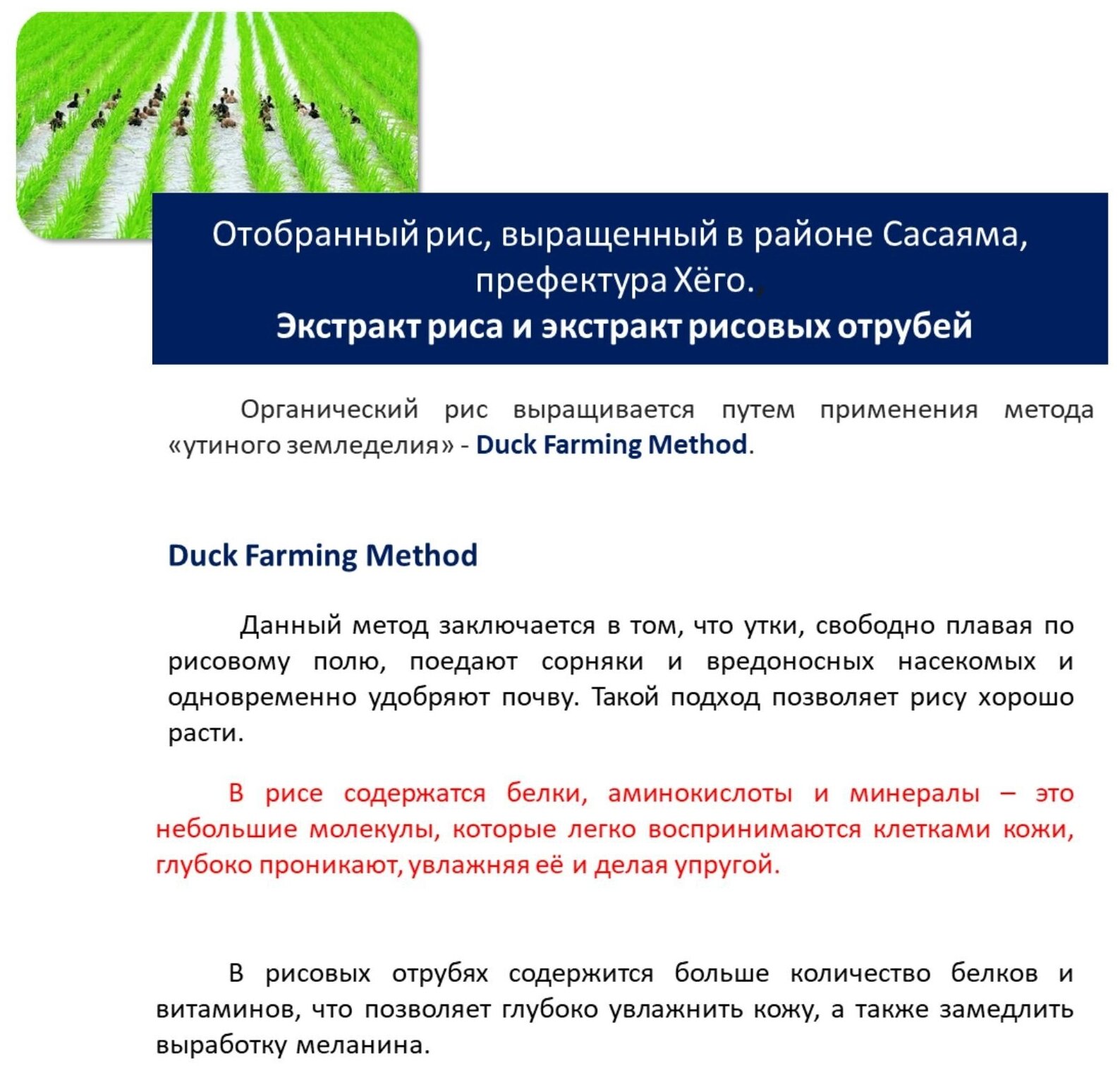 Momotani Очищающий лосьон для снятия макияжа 390 мл (Momotani, ) - фото №9