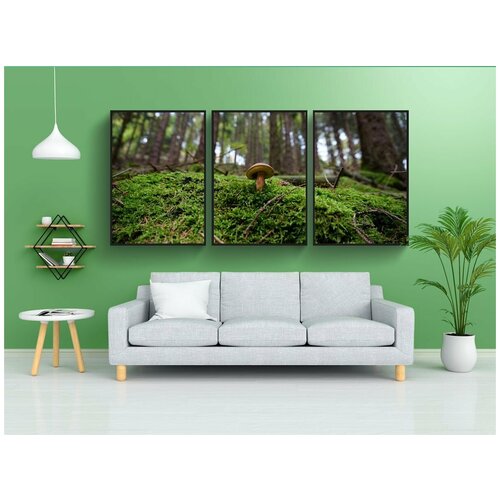 фото Набор модулных постеров для интерьера "гриб, лес, мох" 60x90 см. в тубусе, без рамки lotsprints
