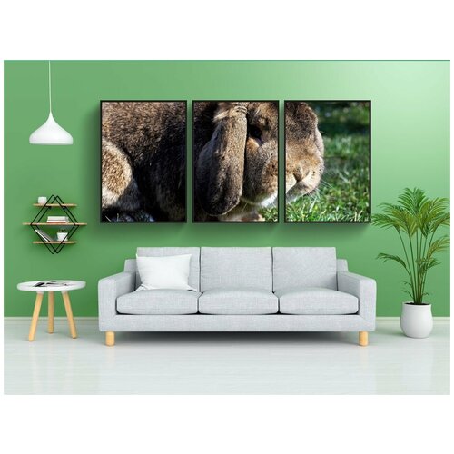 фото Набор модулных постеров для интерьера "кролик, шлифовальный станок, гибкое ухо" 60x90 см. в тубусе, без рамки lotsprints