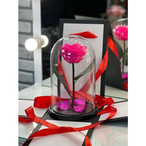 фото Фуксия роза в колбе "премиум" в подарочной коробке/27 см/живет 5 лет! magic rose rus