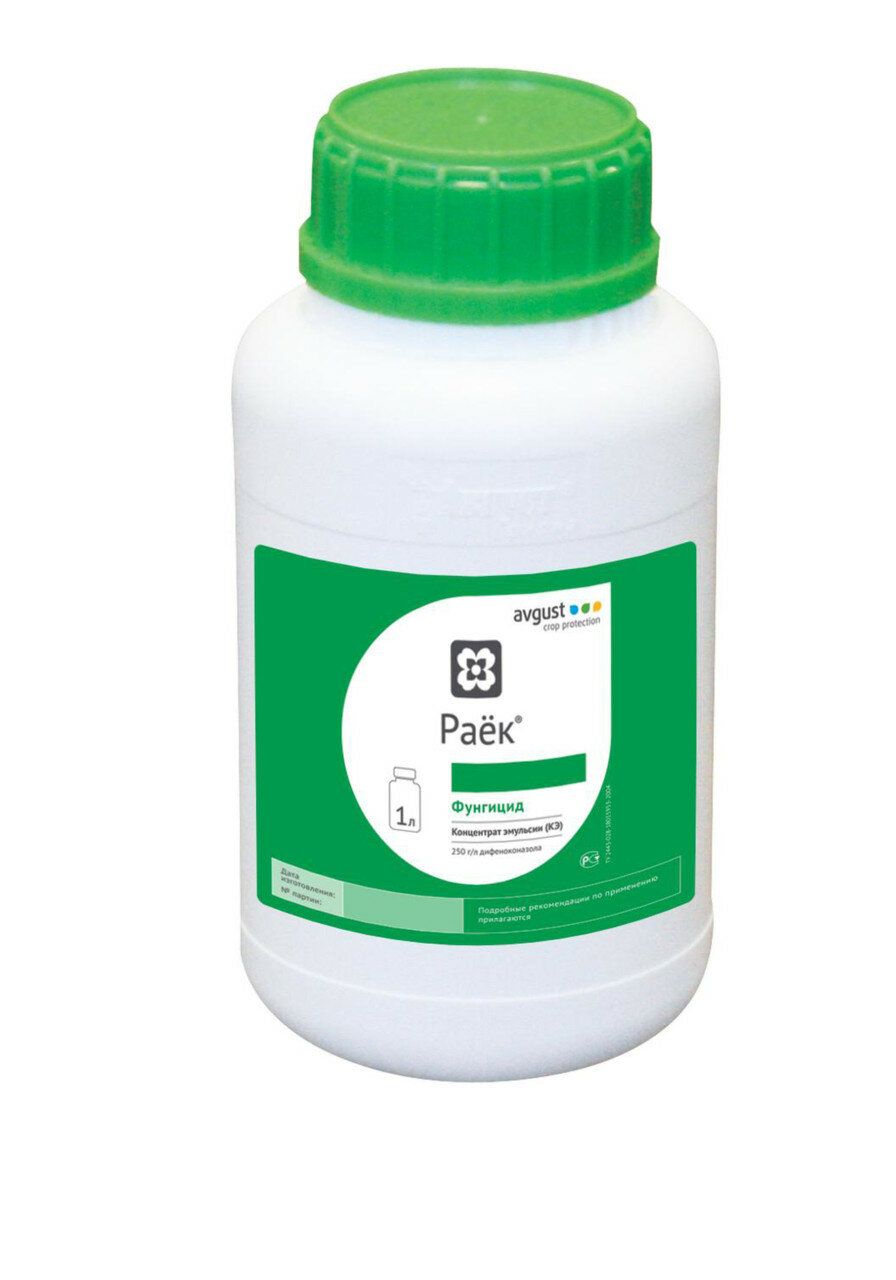 Раек