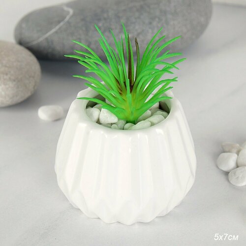 Суккулент искусственный 5х7 см 336₽