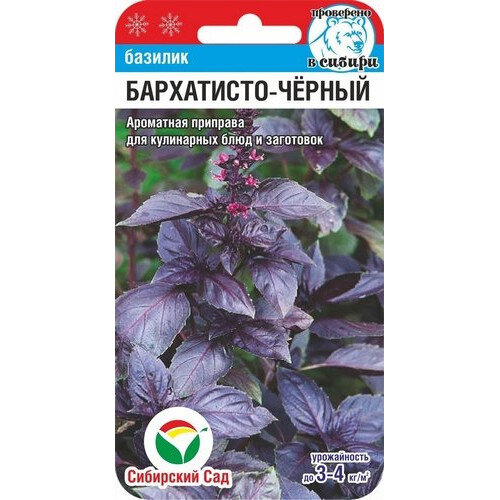 Семена Базилика 