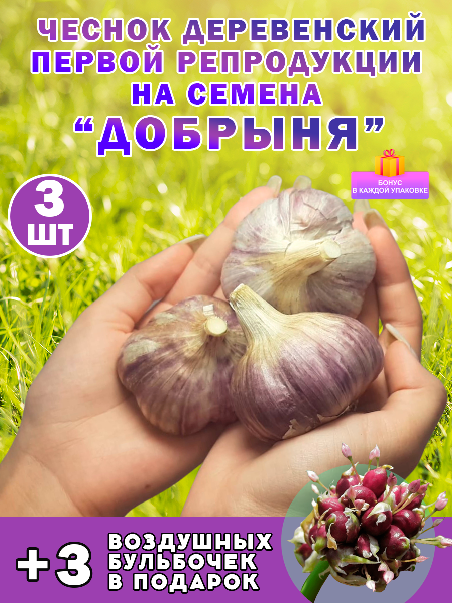Добрыня озимый чеснок на посадку , 3 луковицы