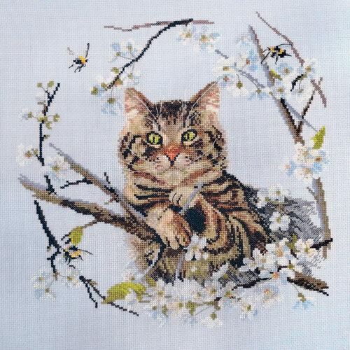 Изображение товара Набор для вышивания "Полосатый разбойник" 30х30см, 03.016.18