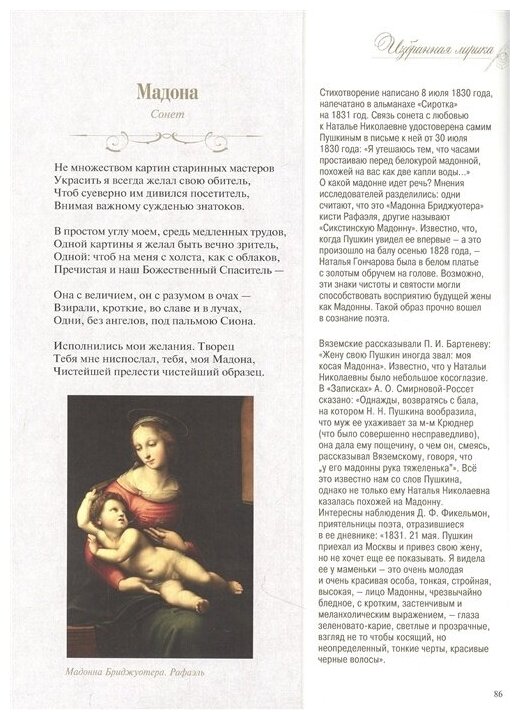 Стихотворения и поэмы с иллюстрациями и комментариями - фото №5