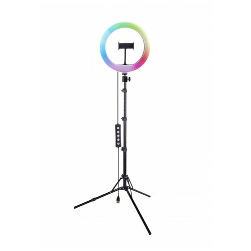 Осветитель Rekam RL-26 LED RGB 190 Kit rekam cl4 660 sb boom kit