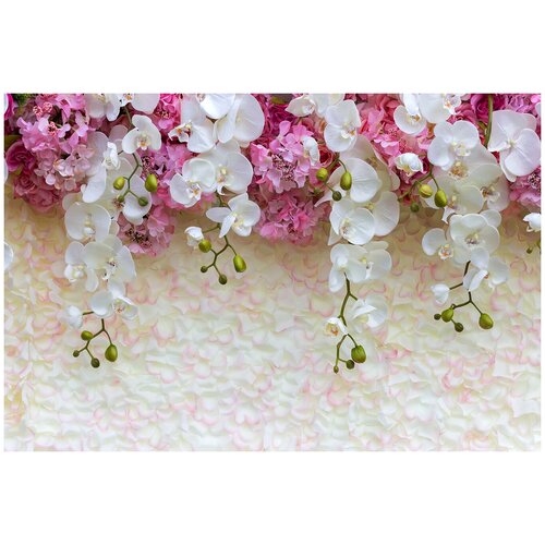 Фотообои Уютная стена Нежные цветы на фоне лепестков 410х270 см Бесшовные Премиум (единым полотном)