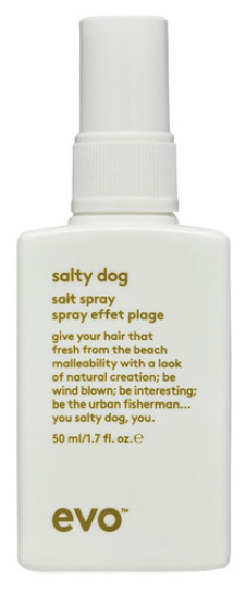 Evo Текстурирующий спрей для волос Salty Dog Salt Spray, слабая фиксация, 50 г, 50 мл