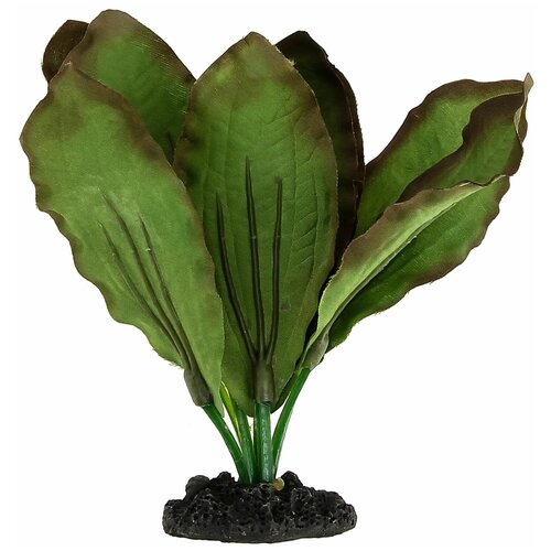 Шелковое растение Prime Эхинодорус Розеа 13см шелковое растение prime эхинодорус кляйн бер 40см