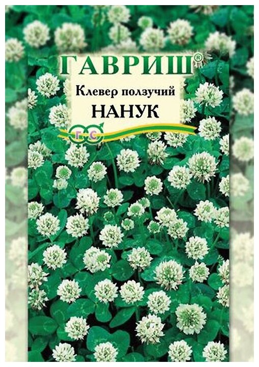 Гавриш Клевер ползучий белый Нанук больш. пак. 20 г 004210