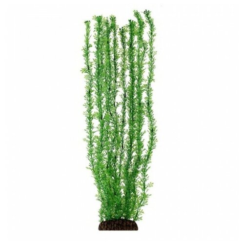 5570P Растение пласт 55см зелёное Лигодиум 4