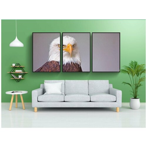 фото Набор модулных постеров для интерьера "орел, природа, птица" 60x90 см. в тубусе, без рамки lotsprints