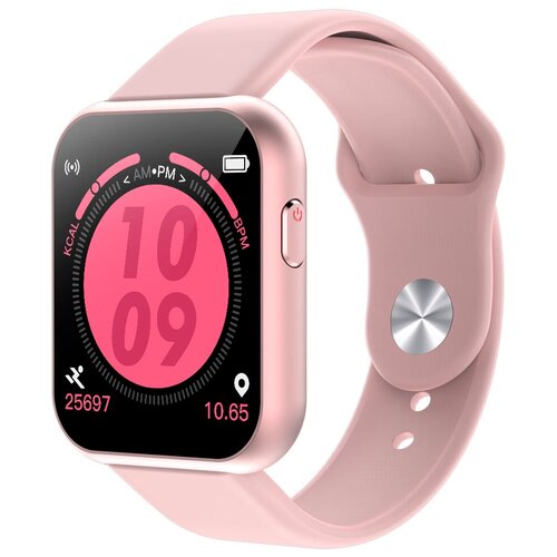 BandRate Smart BRSY668PLGP 260100₽