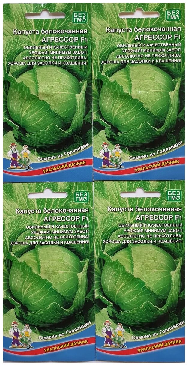 Капуста белокочанная Агрессор F1 4 упаковки по 12 семян Голландия (Уральский Дачник)
