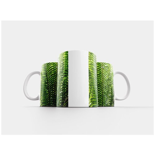 фото Кружка "пальмовые листья, завод, пальма" 320 мл lotsprints
