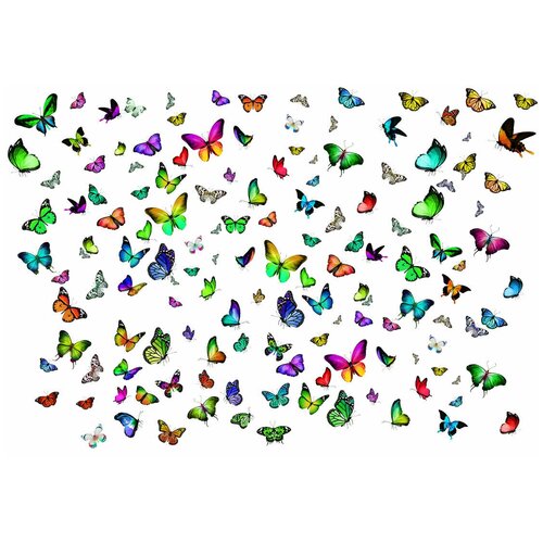 Разноцветные бабочки - Виниловые фотообои, (211х150 см)