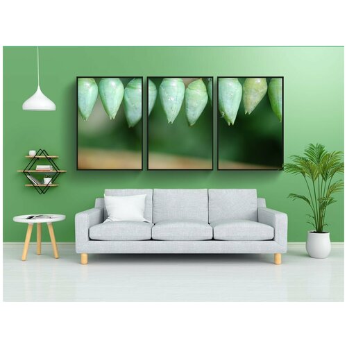 фото Набор модулных постеров для интерьера "насекомое, дикая природа, жук" 60x90 см. в тубусе, без рамки lotsprints