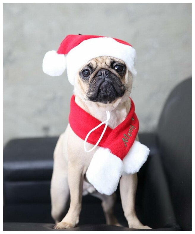 PUPPIA Колпак для собак новогодний "Santa", красная клетка, XL (Южная Корея) - фото №3