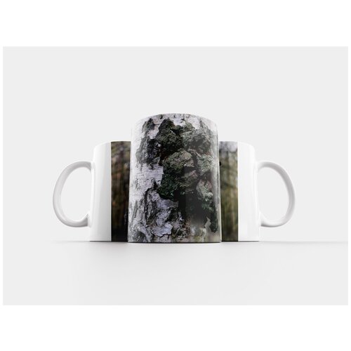 фото Кружка "береза, дерево, ствол дерева" 320 мл lotsprints