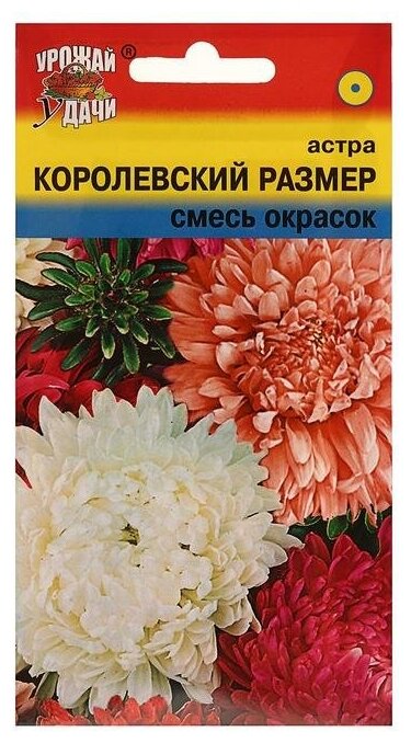 Семена цветов Цв Астра Смесь Королевский размер01 г