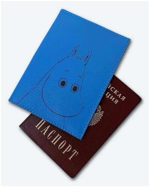 Обложка для паспорта KAZA D-23-12, голубой