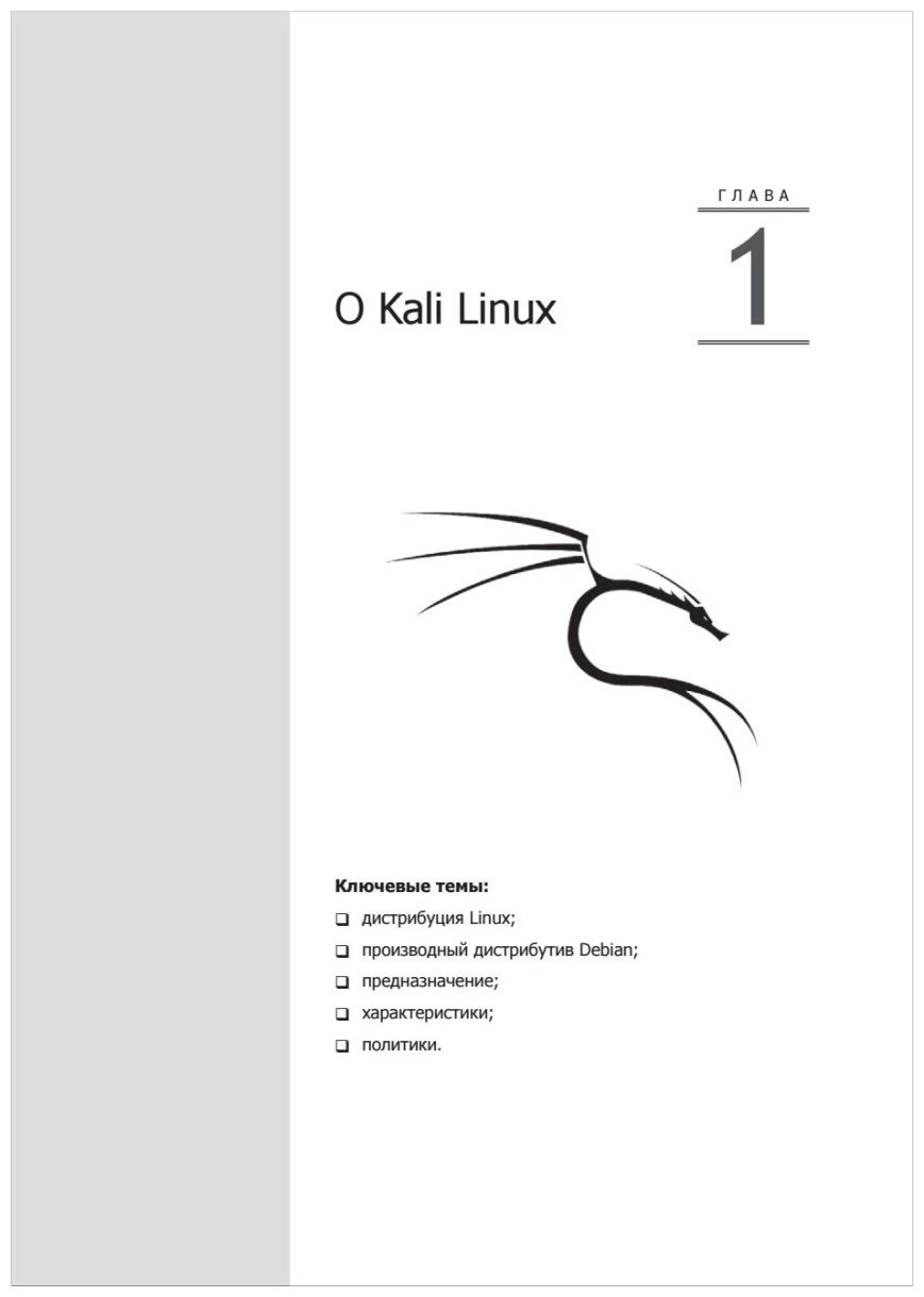 Kali Linux от разработчиков (О'Горман Джим (соавтор), Черников С.В. (переводчик), Ахарони Мати (соавтор), Херцог Рафаэль) - фото №13