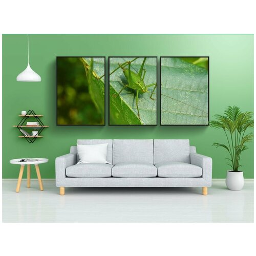 фото Набор модулных постеров для интерьера "кузнечик, насекомое, животное" 60x90 см. в тубусе, без рамки lotsprints