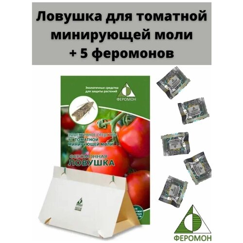Феромонная ловушка. Томатная минирующая моль и 5 феромонов в комплекте