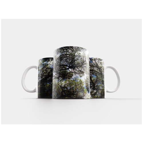 фото Кружка "чечина, тоскана, природа" 320 мл lotsprints