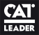 Cat Leader