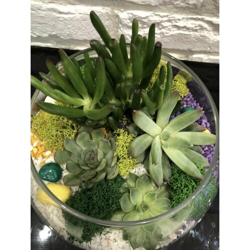 Флорариум Мини сад Подарок на день рождения 4590₽