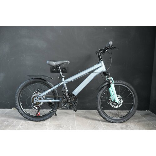 Велосипед Richiesto TT021 20 Стальная рама Горный Детский Подростковый Для активного отдыха Унисекс серый 2250000₽