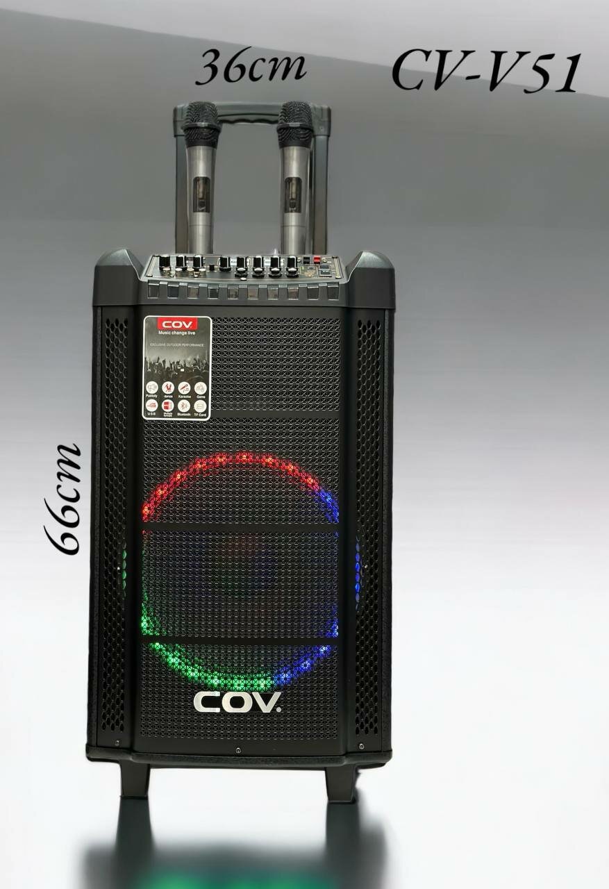 Портативная акустическая колонка "CV-51" с функцией караоке, в комплекте 2 микрофона, управление с телефона, либо через пульт. Bluetooth, Aux, Usb (для подключения к компьютеру). Громкое качественное звучание.