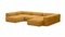 желтый cilium umber
