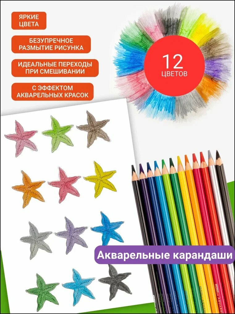 Карандаши цветные для рисования AXLER Art, яркие акварельные и пастельные по 12 цветов, художественные мягкие, набор для детей и начинающих художников