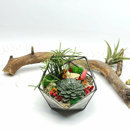 Флорариум с суккулентами 