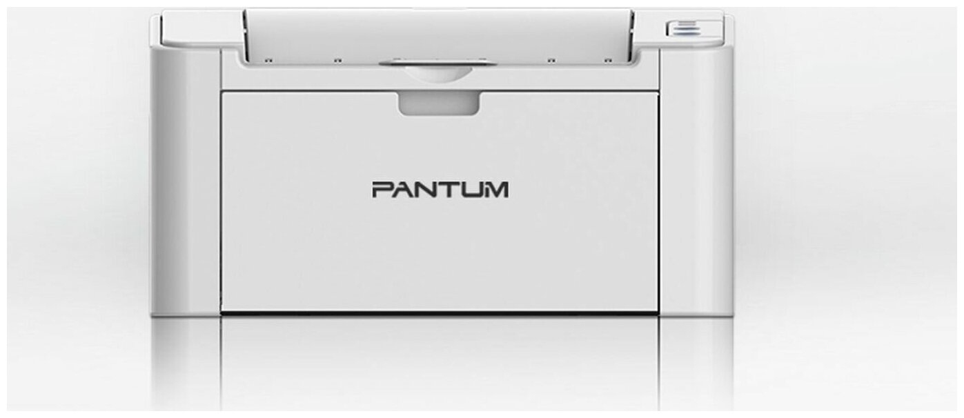 Принтер лазерный Pantum P2516/P2518, ч/б, A4, серый — фото 1