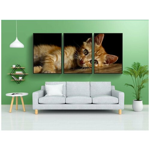 фото Набор модулных постеров для интерьера "кошка, домашний питомец, кошачий" 60x90 см. в тубусе, без рамки lotsprints