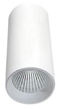 Накладной светильник Donolux DL18895R10W1W
