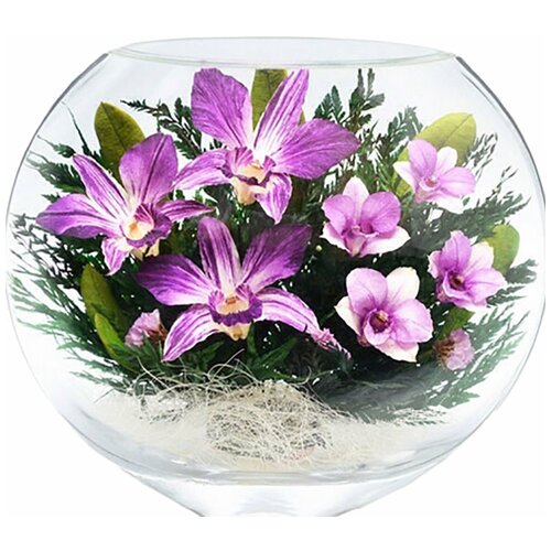 Natural Flowers Орхидеи в стекле ESO-01 (20 см)