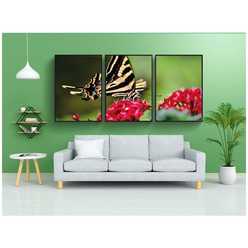 фото Набор модулных постеров для интерьера "ласточкин хвост, бабочка, цветок" 60x90 см. в тубусе, без рамки lotsprints