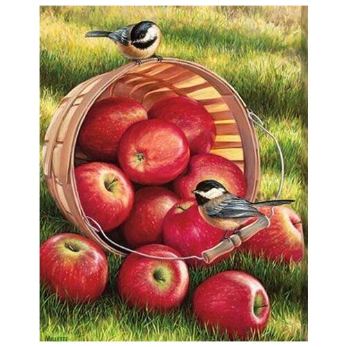 картина по номерам две картинки colibri сочные мандарины Картина по номерам Colibri Спелые яблочки 40х50см